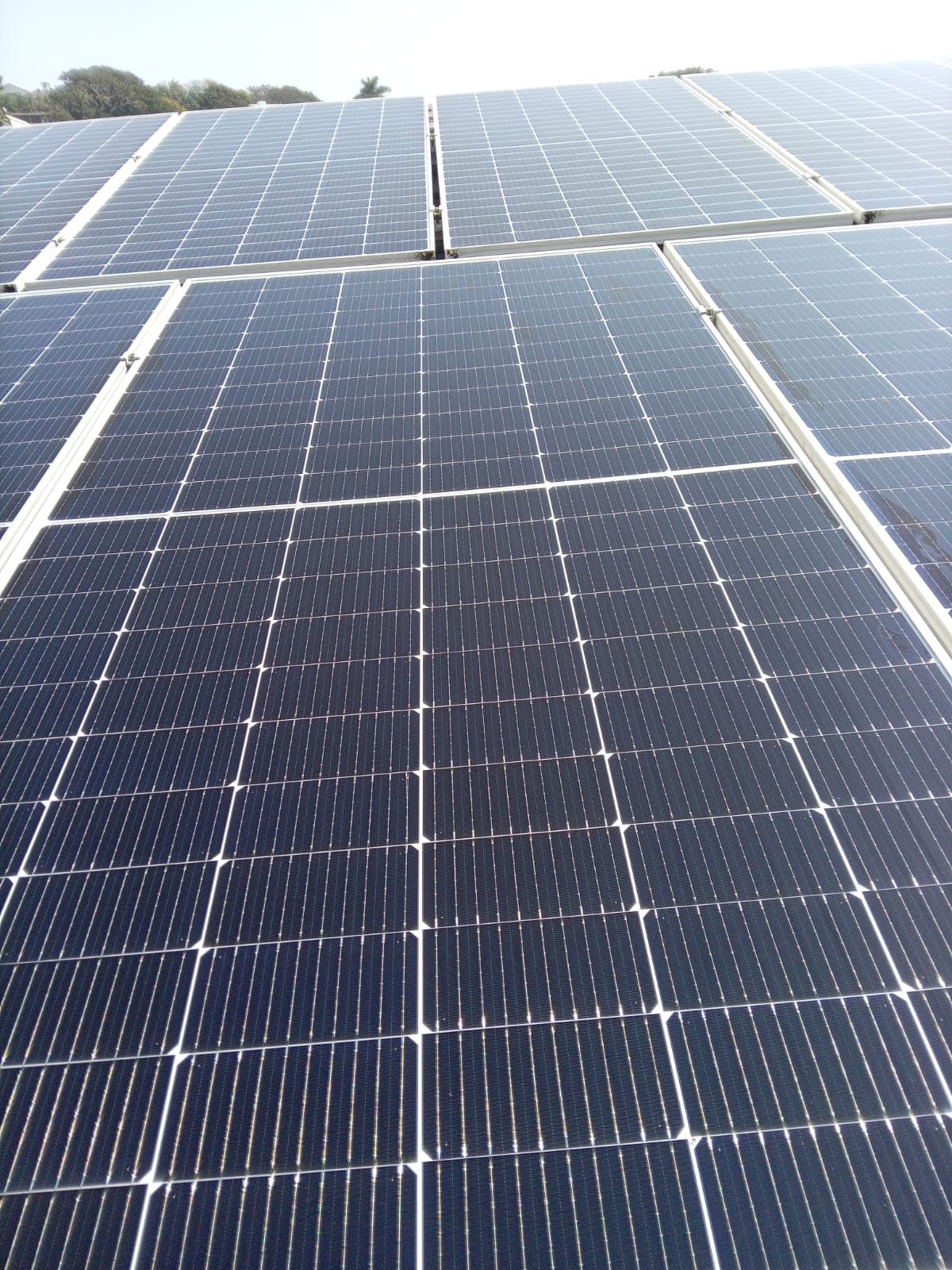 Solar panel cleaning