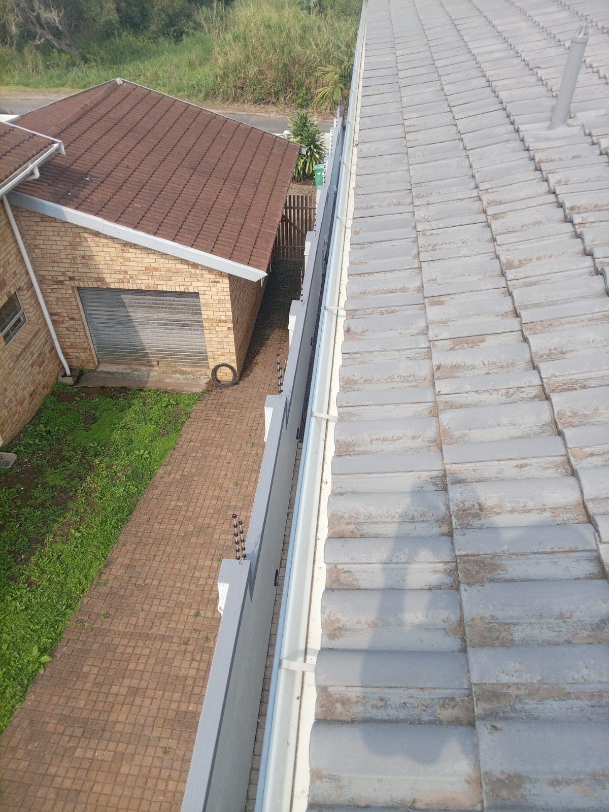 Roof cleaning